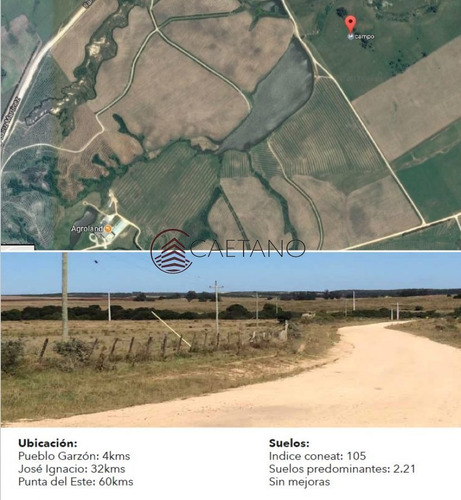 Imagen 3 de 4 de Excelente Campo De 113 Hectáreas Ubicado En Garzón - Garzón