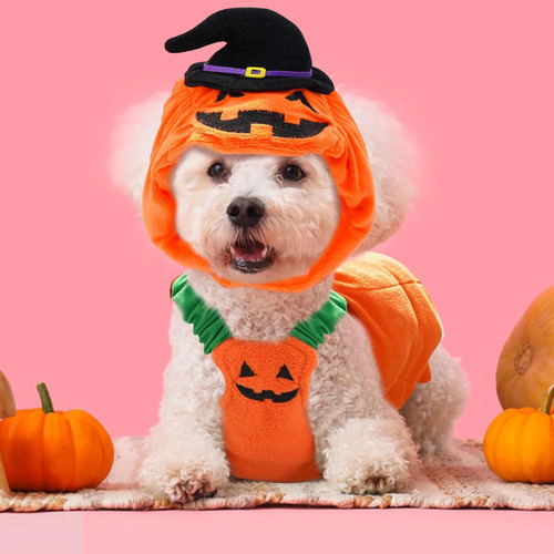 Disfraz De Calabaza Para Cachorro Disfraz De Calabaza Para P