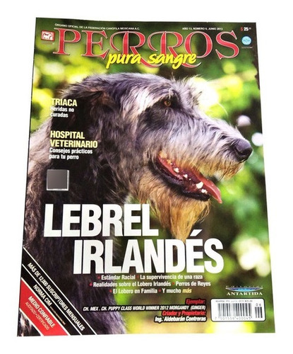 Revista De Perros Lebrel Irlandés Junio 2013