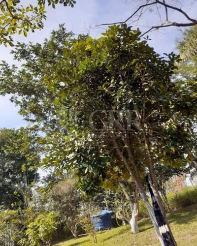 Imagem 17 de 19 de Chácara 2 Dormitórios No Veraneio Irajá- Jacareí- Sp - Ch00196 - 70548364