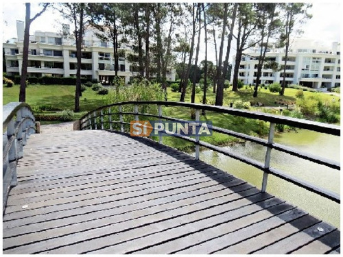 Imagen 17 de 30 de Apartamento En Alquiler Anual