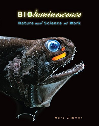 Bioluminescence Nature And Science At Work (nonfiction  Youn