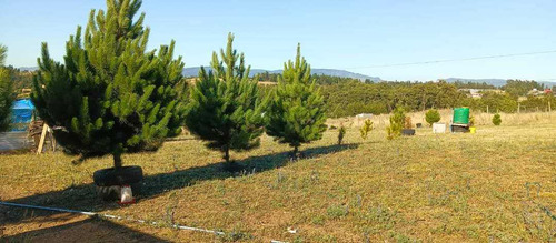 Vendeen Parque Residencial La Foresta (101904)
