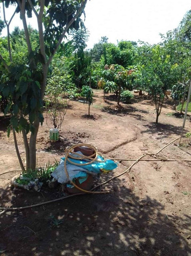 Imagem 4 de 26 de Chácara 1000m2, Casa Sede Com 150m2, 3 Dormitórios Sendo Todas Suítes, Cozinha Americana Planejada, Árvores Frutíferas, Quintal, Jardim, 5 Vagas - Ch00226 - 70709150