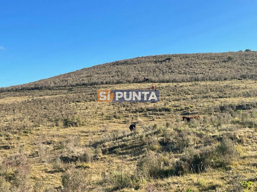 Imagen 4 de 5 de Campo En Venta, Las Cañas, Maldonado