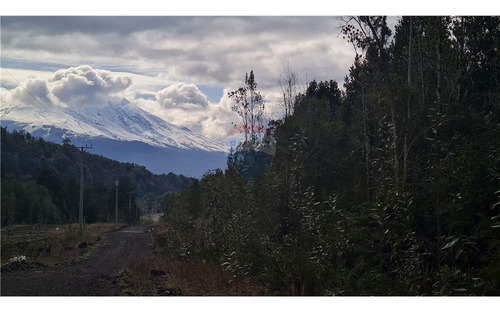 Parcela Con Bosque Nativo En Puerto Varas