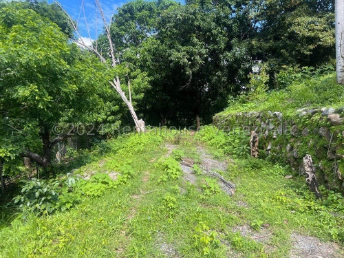 Finca Hacienda En Venta San Casimiro Aragua 25-2969 Wjo