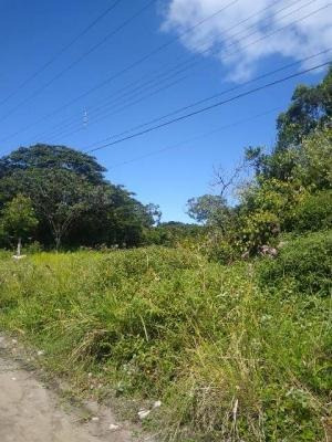 Imagem 1 de 4 de Chácara Litoral Sul Lado Serra 1200m²- Ref.8020/dz