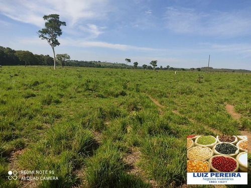Fazenda À Venda Em Duere - To - De 60 Alqueirões (pecuária) - 1584