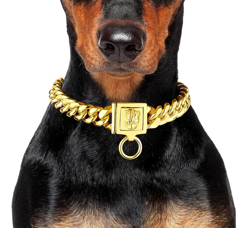 ~? Collar De Cadena Para Perros Con Colgante Bully Dog Con H