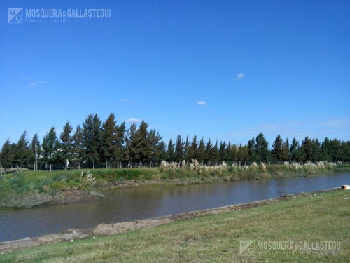 Imagen 2 de 2 de Mosquera Y Gallastegui Terreno En San Benito