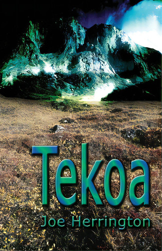 Tekoa, De Herrington, Joe. Editorial Price World Pub, Tapa Blanda En Inglés