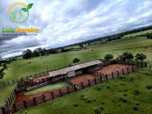 Imagem 2 de 14 de Fazenda À Venda Em Nioaque - Ms - De 463,57 Hectares (pecuária) - 1665