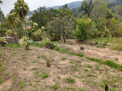 Imagem 13 de 15 de Ref.: 881 - Chacara Em São Roque Para Venda - V881