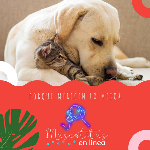 Imagen 6 de 6 de Mini Multirope Petstages Cuerda De Morder Perro Gato Mascota