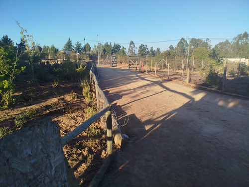 Venta Parcela 5000mts Algarrobo