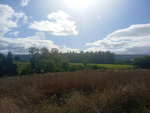 Terreno Ubicado A 6 Km De La Union, Sector Cudico