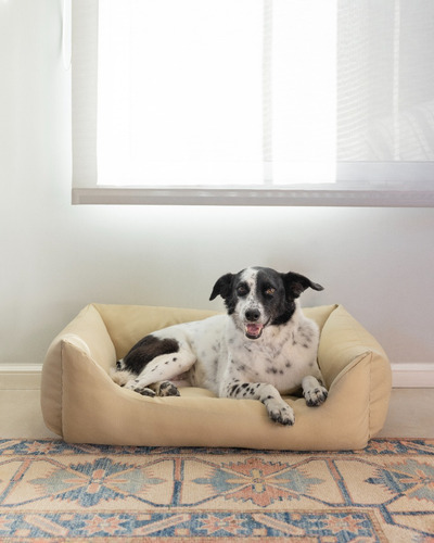 Imagen 2 de 5 de Cama Cucha Para Perro O Gato Lola Pets Soho Grande