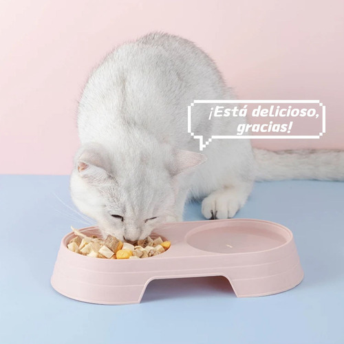 Juego De 4 Platos Dobles Para Mascotas (cachorro Y Gatos)