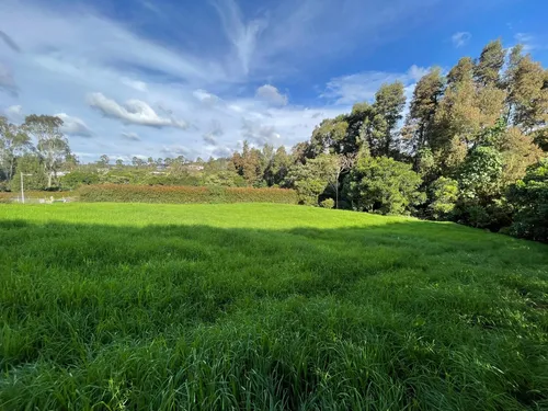 Hermoso Lote Ubicado En El Alto De Las Palmas