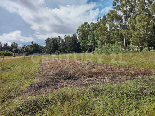 En Venta, Lotes Terrenos, En Comitan De Dominguez
