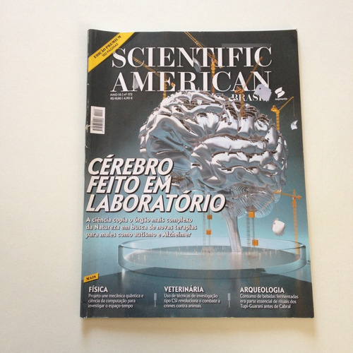 Revista Scientific American Cérebro Feito  Laboratório C910