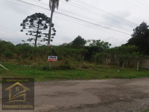 Imagem 2 de 11 de Terreno Com 2.500m² Em Quatro Barras - Te00022 - 33357972