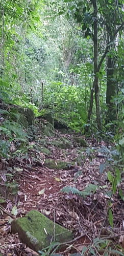 Complejo De 7 Cabañas En Misiones, Frente A Rio Uruguay
