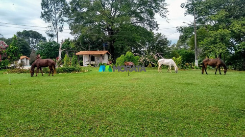 Imagem 4 de 11 de Fazenda - Zona Rural - Ref: 5086 - V-mta5086
