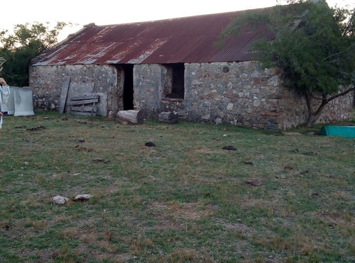Campo Ganadero 55 Has En Lavalleja -higueritas Con Arroyo