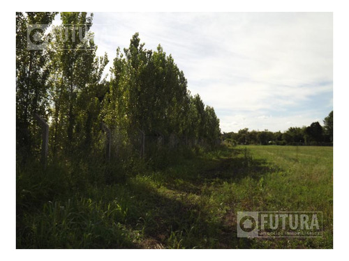 Imagen 5 de 10 de Campo Madero - Barrio Abierto Residencial - Ibarlucea
