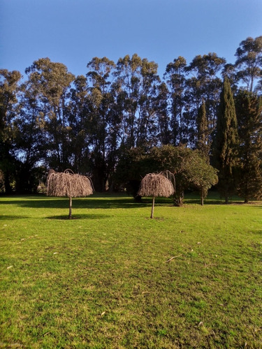 Excelente 4 Hectáreas A 2 Cuadras De Av. 37