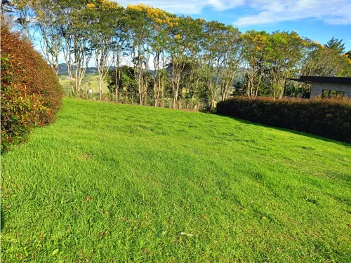 Lote En Venta Sector Alto De Palmas Envigado