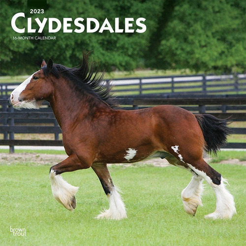 Libro: Clydesdales | Calendario De Pared Cuadrado Mensual De