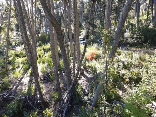 Lote Plano Con Vista Al Lago Nahuel Huapi, Villa La Angostura