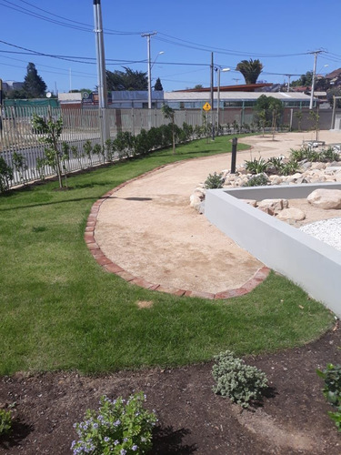 Arrienda Departamento Con Gastos Comunes Incluidos, Quilpué