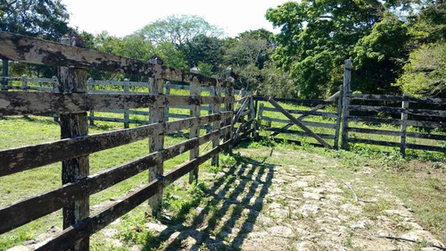 Vendo Rancho Ganadero 223 Hectáreas Temapache Veracruz