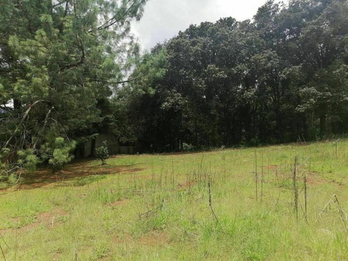 Imagen 3 de 10 de Terreno En Venta Los Alcanfores