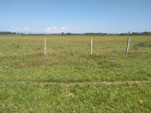 Imagen 9 de 13 de Finca En Barinas Carretera Vieja A 20 Min..de Barinas