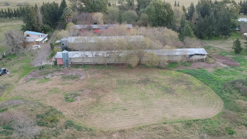 Imagen 8 de 8 de Chacra En Venta Con Emprendimiento Avícola. Ciudad De Chascomus. 3 Ha