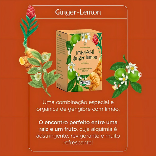1 Chá Orgânico Ginger Lemon 15 Sachês De 1,3gr Cada Iamaní