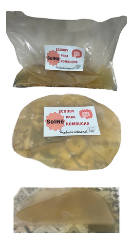 Scoby Para Kombucha Solhé + 200 Ml De Kombucha Fermentada