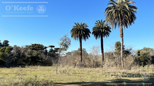 Imagen 9 de 21 de Barrio Privado Aires De Hudson - Lote En Venta