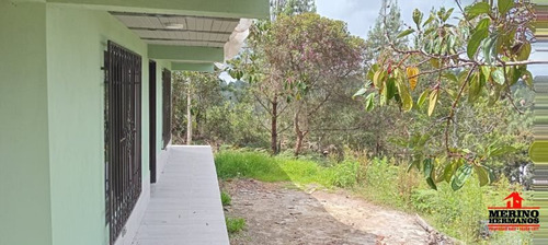 Casa En Arriendo En Santa Elena. Cod A5263