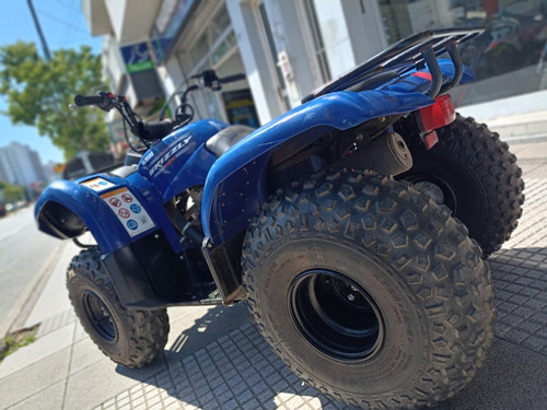 Imagen 18 de 18 de Yamaha Grizzly 125 2011 Performance Bikes