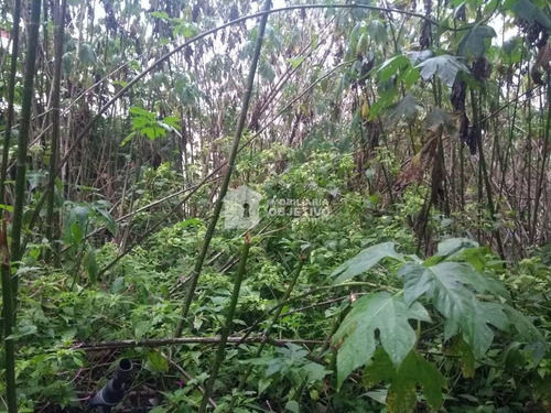 Imagem 7 de 7 de Terreno, Jardim Monte Verde (caucaia Do Alto), Cotia - R$ 100 Mil, Cod: 4172 - V4172