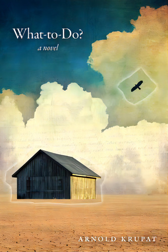 What-to-do?, De Krupat, Arnold. Editorial Lulu Pr, Tapa Blanda En Inglés