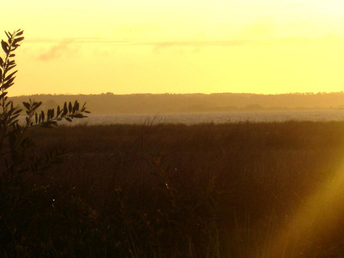 Terreno - José Ignacio