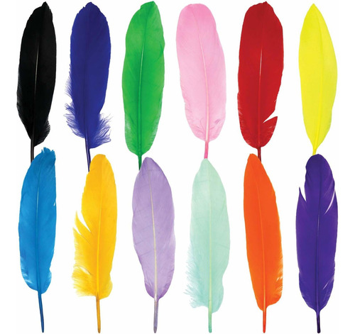 12pluma Ganso Colorida Para Idade Joyeria Boda Hogar 12