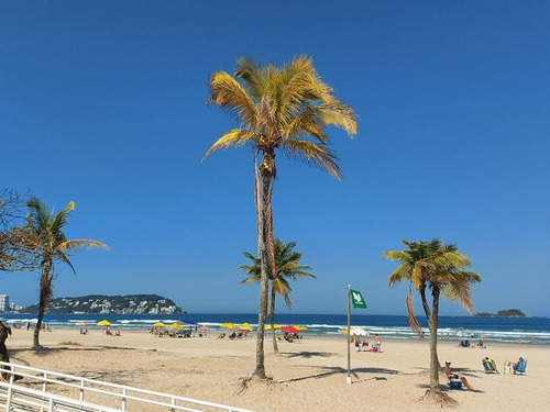 Imagem 7 de 10 de Terreno Na Quadra Da Praia. Excelente Opção De Investimento!! - Te0800